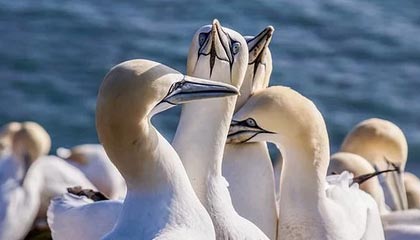 巴萨枪手二签，穆帅首签，克雷斯赴英超，米兰热刺新动态