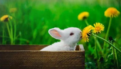 巴萨枪手二签，穆帅首签，克雷斯赴英超，米兰热刺新动态